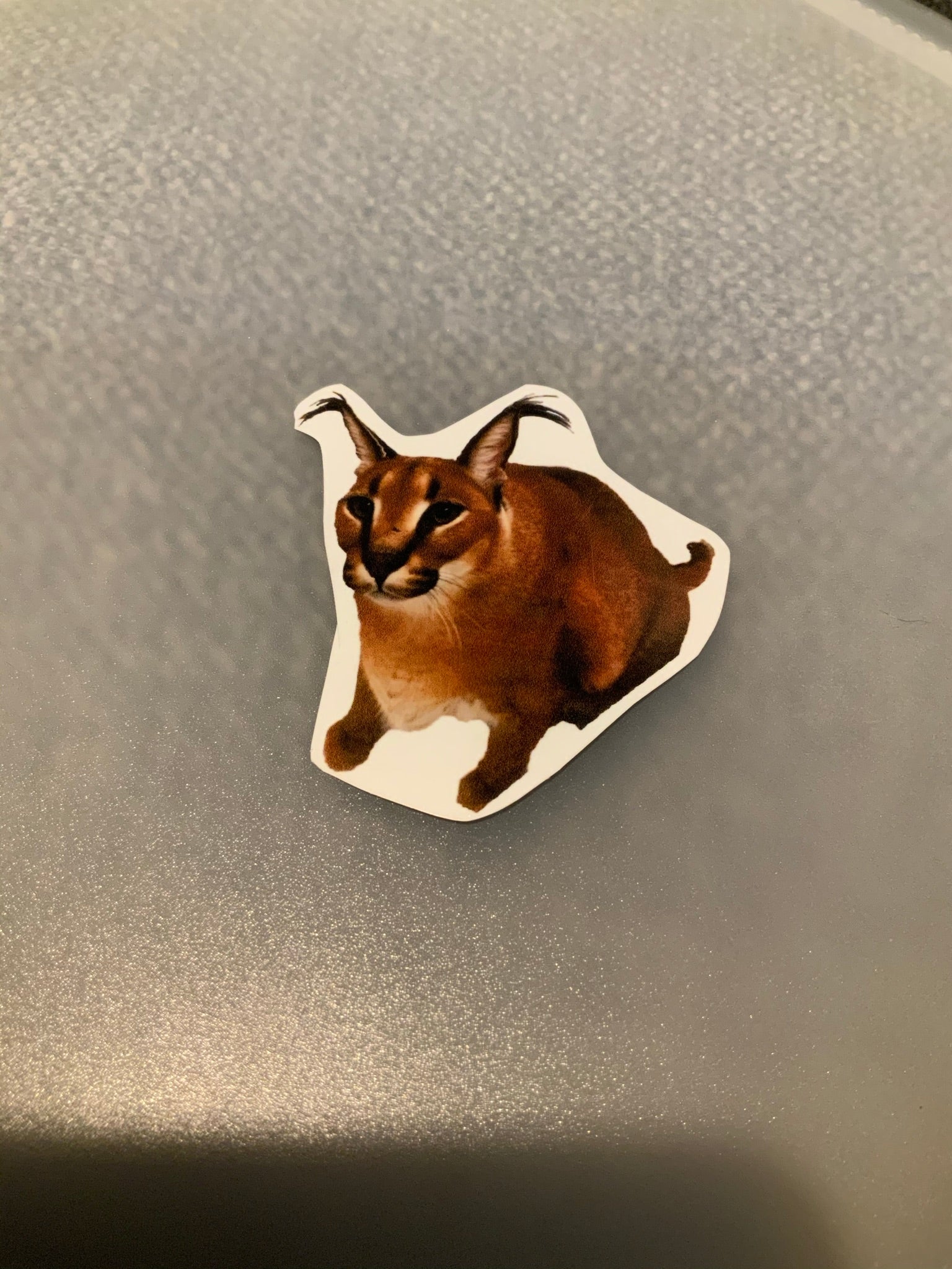 Big Floppa Meme Cat' Sticker
