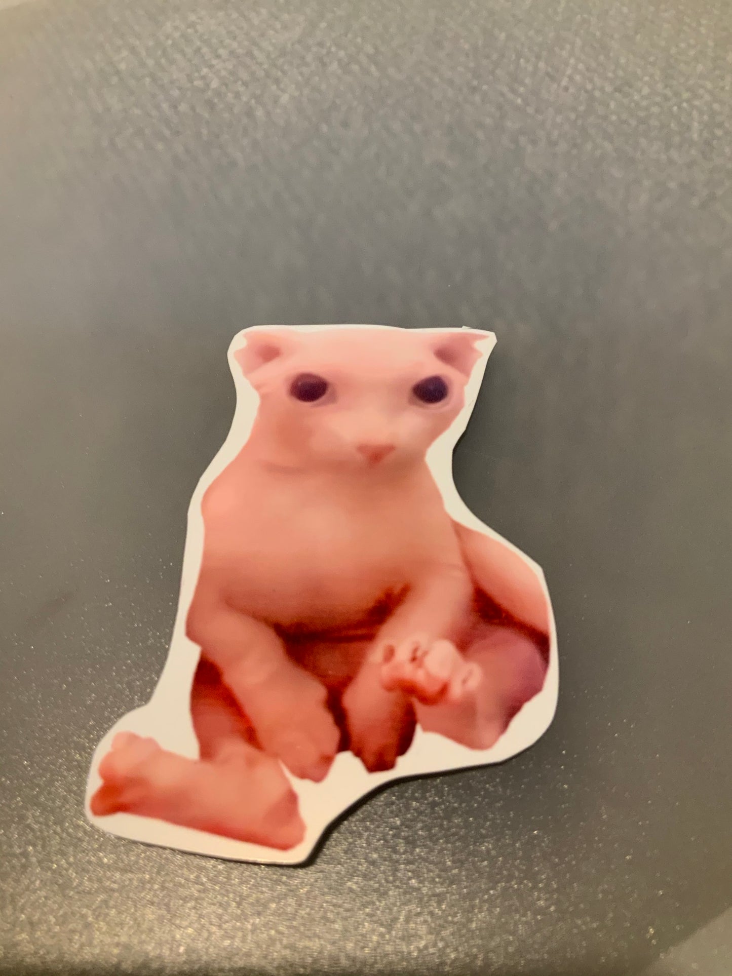Bingus Meme Sticker